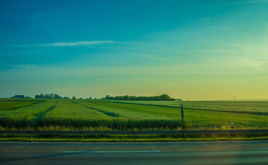 Wall Mural - Germany, Frankfurt, Sunrise, a large green field