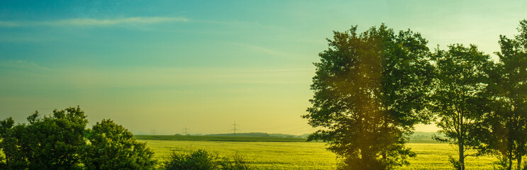 Wall Mural - Germany, Frankfurt, Sunrise, a large green field with trees in the background