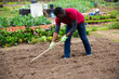 © JackF - African american man  gardener with mattock working in garden