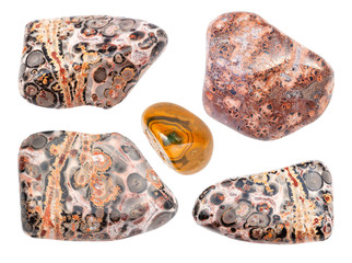 set of Leopard skin jasper (Jaguar Stone) gemstone