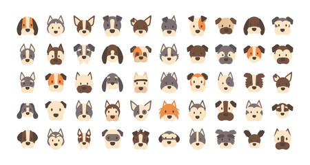 Poster - set of icons of faces different breeds of dogs
