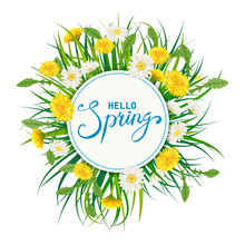 Hello Spring Lettering Template Background With Flowers Bouquet Dandelions And Daisies, Chamomiles, Grass