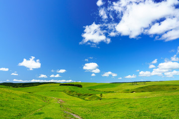 牧場の風景