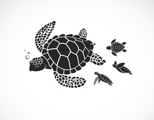 Vector Of Mother Turtle And Baby Turtle On A White Background. Reptile. Animals. Easy Editable Layered Vector Illustration.