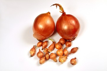 Two big sweet onions and many small onions on a white background, Yellow onion on fabric background