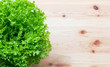 Fresh green salad on a wooden background