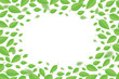 Background with green flying leaves. Leaves fly on the white background.