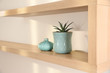 Wooden shelf with houseplant on light wall