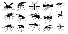 Set Of Mosquito Silhouettes Isolated On White Background