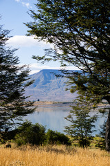 Wall Mural - Lago Argentino is the largest and southernmost of the great Patagonian lakes in Argentina argentino lake