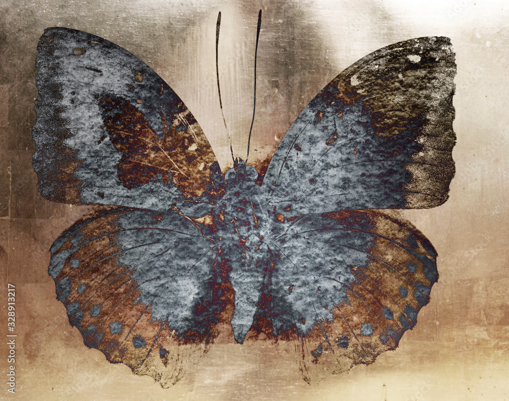 Grunge butterfly - obrazy, fototapety, plakaty 