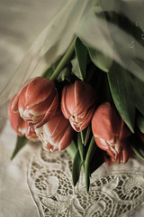 Wall Mural - bouquet of red tulips on a background of vintage lace