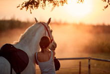 Young Rider Girl With Her Horse At Sunset.