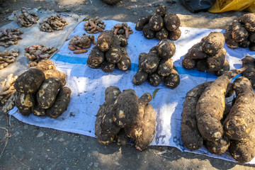 A cassava roots placed on a canvas on a ground and organised in small piles, being sold on a local market in Maumere, Flores, Indonesia. Local speciality, home grown.