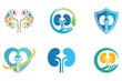 kidneys logo design template, urology logo, vector icon Illustration