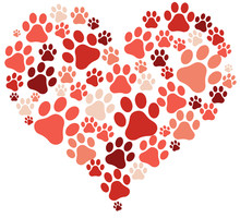 I Love Dogs Heart Of Paws