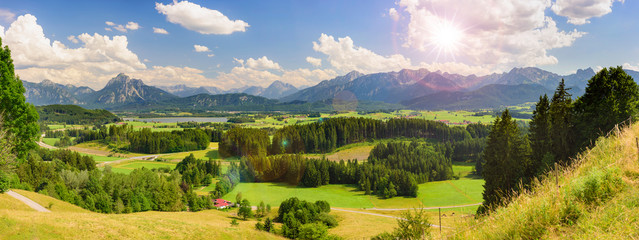 panoramic landscape with meadow and lake in front of alps mountains