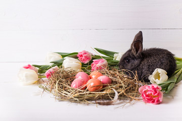 Easter bunny with easter eggs with tulips and a nest of hay. Positive spring easter composition.