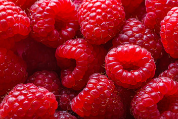 Wall Mural - Juicy fresh natural raspberries on white acrylic background