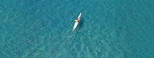Aerial Drone Ultra Wide Photo Of Fit Men Competing In Sport Canoe In Tropical Exotic Bay With Emerald Sea