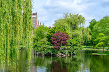 Idillic View In The Boston Public Garden, USA