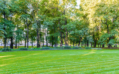 Wall Mural - Inside Mikhailovsky Garden, idillic park in central St. Petersburg, Russia