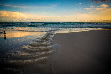 Wall Mural - Beach Day in Destin Florida 