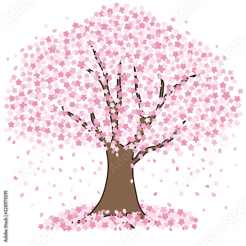 桜の木 © osamuraisan