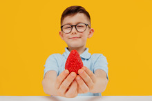 Little Boy In Glasses Holds A Strawberry In Hand. Isolated On Yellow Background Looks At Camera