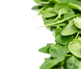 Wall Mural - Fresh Spinach isolated on white