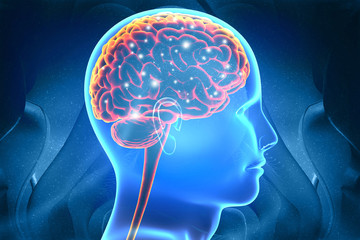 Wall Mural - Human brain electrical impulses. science background. 3d illustration.