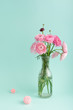 Pink ranunculus flowers in vase on light aqua. Holiday, greetings, love, romantic concept.