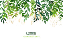 Greenery Drop Header, Watercolor Botanical Background, Leaves And Branches