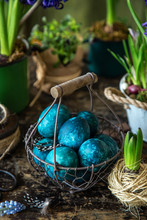 Colored Blue Easter Eggs In Vintage Basket With Spring Hiacinth  Flowers