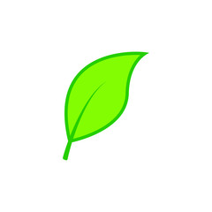 Green leaves icon. Vector illustration isolated on white background.