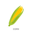 corn flat icon on white transparent background. You can be used black ant icon for several purposes.	