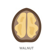 walnut flat icon on white transparent background. You can be used black ant icon for several purposes.	