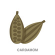 cardamom flat icon on white transparent background. You can be used black ant icon for several purposes.	