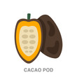 cacao pod flat icon on white transparent background. You can be used black ant icon for several purposes.	