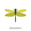 dragonfly flat icon on white transparent background. You can be used black ant icon for several purposes.	
