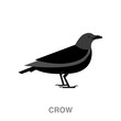crow flat icon on white transparent background. You can be used black ant icon for several purposes.	