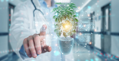 Aufkleber - Researcher holding and touching holographic projection of a plant with digital analysis 3D rendering