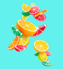 Wall Mural - Citrus fruits composition. Vector styling.