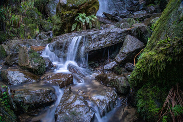 bottom of the waterfall