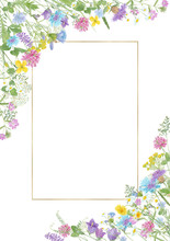 Watercolor Hand Drawn Floral Summer Composition With  Wild Meadow Flowers (clover, Cornflower, Tansy, Cow Vetch, Chamomile, Chicory) And Gold Frame With Copy Space Isolated On White Background