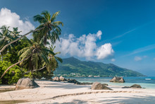 Tropical Beach Seychelkles , White Beach With Palm Tree At Praslin Seychelles
