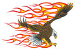 Flaming Eagle - vehicle graphic. Ready for vinyl cutting. .