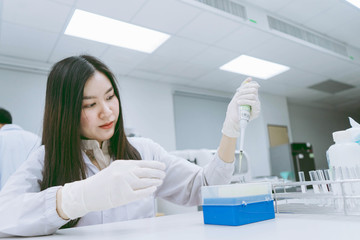 Young medical  scientist working in medical laboratory , young female scientist  using auto pipette to transfer sample