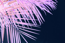 Palm Leaf Close-up Background In Purple  Color Mode, Empty Space For Text. Design Template Element. Unrealistic Color