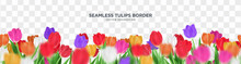 Colorful Tulips Flower On Transparent Background Seamless Border Vector Decoration, 3d Floral Frame Template Illustration